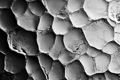 Textures and surfaces photo contest
