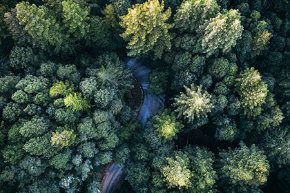 Aerial Photography Contest