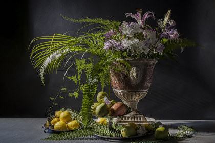 Flowers Still Life Composition Photo Contest