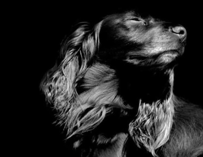 From Hobby to Honours: Kiera Walker's Journey into Professional Photography