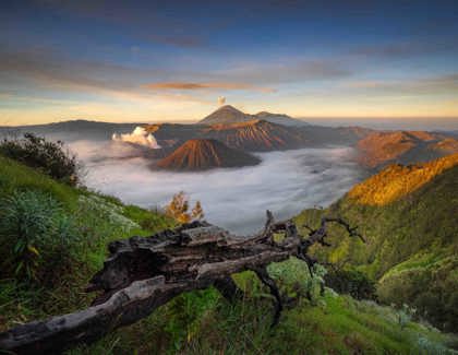 Interview with Prianto Puji Anggriawan