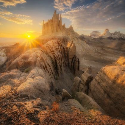 Photographer hary hammad 