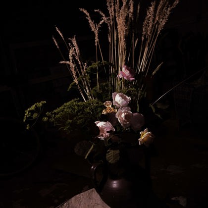 Photographer Miles Barnfield shifnal  United Kingdom of Great Britain