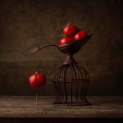 Photographer carolien van Schie Holwierde   Netherlands