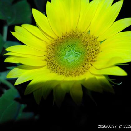 Photographer Autumn Magee ouapaw OK United States